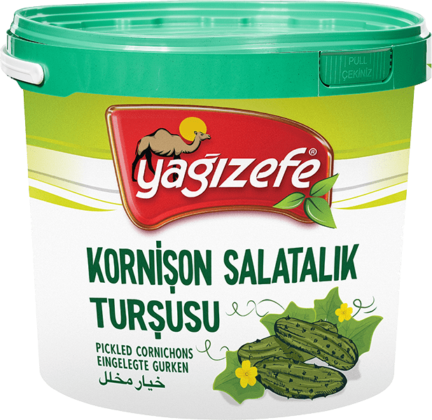 Kornişon Salatalık Turşusu